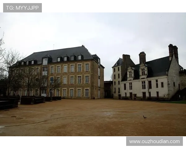 南特青年队遗憾错失法兰西体育场机会